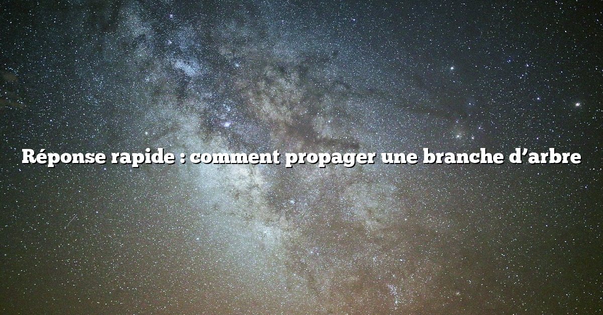 Réponse rapide : comment propager une branche d’arbre